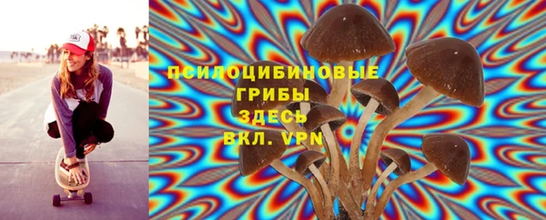 СК Абаза