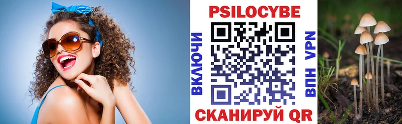 как найти закладки  Шахунья  Галлюциногенные грибы Psilocybine cubensis 